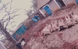 «Зайчик», гранатку кинь!»: як гвардійці з «Червоної калини» взяли в полон шістьох окупантів