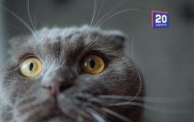 Вінниця готується до різкої зміни: що принесе кінець тижня