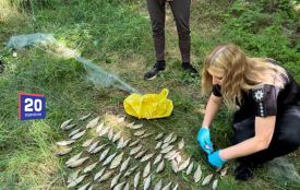 Одна сітка на 137 тисяч гривень. На Ладижинському водосховищі піймали браконьєра