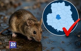 Перший випадок лептоспірозу на Вінниччині: у Івашківцях госпіталізували хворого
