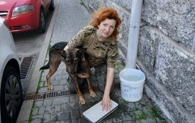 «Така спека, а вони забрали воду для тварин»: долучайтесь до флешмобу «Рятівна мисочка»