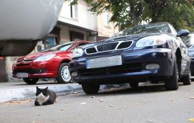 Як вирішити проблему з дефіцитом парковок у Вінниці? Ми запитали