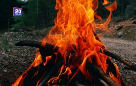 Підпалив сухостій — заплати до 21 тисячі: на Вінниччині нагадали про великі штрафи