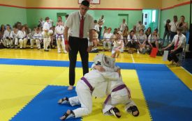 На підсумковому клубному чемпіонаті із Зендокай Карате-до змагалися навіть дошколярики!