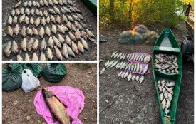 Понад 91 кілограм риби та збитки у 308 тисяч гривень — на Вінниччині викрили браконьєра