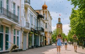 Комариний сезон у розпалі: чому у Вінниці їх так багато та чи є ризики для здоров’я