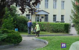 Не кидати сміття замало: які звички допомагають підтримувати порядок