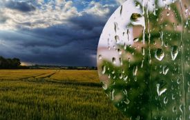 До +22° і короткочасні дощі — якою буде погода на Вінниччині на початку тижня
