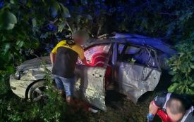 Lexus злетів у кювет на Гайсинщині — загинула 34-річна пасажирка