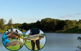 Риболовля та відпочинок на Вінниччині: огляд бази «Eco-Fishing Vugly» у Хмільницькому районі (партнерський проєкт)