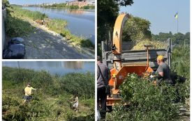 Понад пів сотні вінничан вийшли на велику толоку — приводили до ладу набережну Південного Бугу