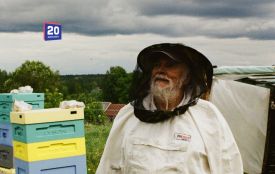 Від 200 гривень за бджолосім'ю до компенсації за насіння: у Вінниці виділили кошти фермерам