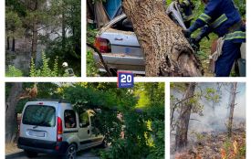 Горів ліс та падали дерева на авто: надзвичайники підбили підсумки доби