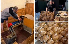 Вирощували тютюн на городі й продавали на ринку: на Вінниччині викрили «бізнес» на понад 4,3 мільйона