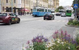 У центрі Вінниці планують оновити шість зупинок громадського транспорту. Які саме