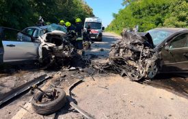 Моторошні кадри з місця смертельної ДТП біля Брацлава. Рятувальники завершили ліквідацію наслідків