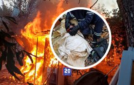 Готувала їжу худобі — ледь не згоріла живцем: у Ладижині врятували 80-річну жінку