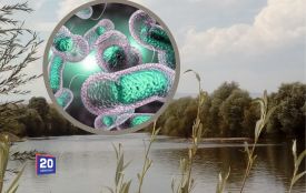 На Вінниччині перевірили воду на холеру: які результати