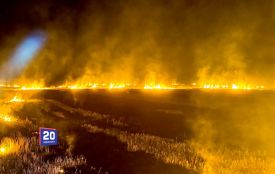 Один недопалок — і понад шість гектарів у вогні: що горіло на Вінниччині