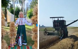 «Син занедужав після бойових травм, то я сіла на комбайн»: відома співачка збирає хліб