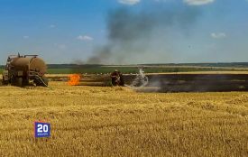 Вогонь випалив понад вісім гектарів землі