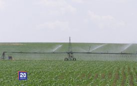 1,3 мільйони кубометрів води подали на поля Вінниччини для зрошення