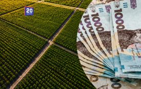 Продала землі дешевше за ринкову: вінничанка не сплатила мільйони гривень податків