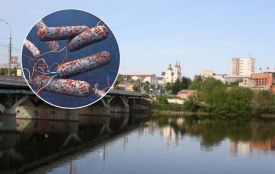 У воді Південного Бугу виявили небезпечну бактерію. Що кажуть медики
