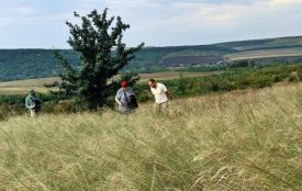 Гору Лисківка захистили у суді: аукціон скасували, дозвіл на копалини ліквідували, але…