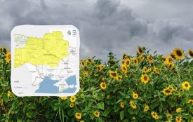 То спека, то дощі: якою буде погода на Вінниччині протягом тижня
