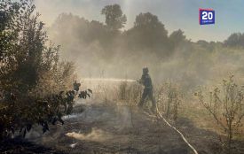 Вогонь охопив усі райони Вінниччини: за добу вигоріло майже 15 гектарів