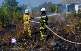Один недопалок перетворює поля на згарища: на Вінниччині спалахнуло 25 пожеж