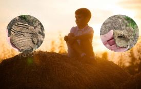Понад пів року суд в Іллінцях не може вирішити долю земель Трипілля в урочищі «Вапельня»