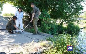 У ставі Поділля шукають причину забруднення — воду відправили на аналіз