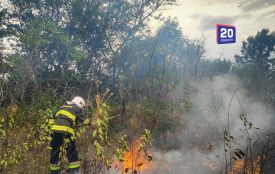 Горіли поля, узбіччя та лісосмуги. Вогонь випалив шість гектарів землі