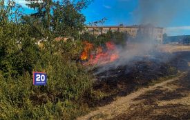 Палали сухостій та пожнивні залишки у кожному районі області