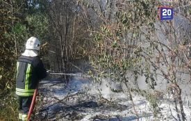 Вогонь нищить область: надзвичайники ліквідували 18 пожеж в екосистемах