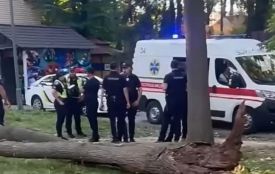 У Центральному парку Вінниці дерево впало на жінку — її госпіталізували