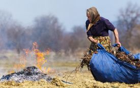 Спалюєте листя чи бадилля — можете отримати штраф: у Вінниці посилили перевірки