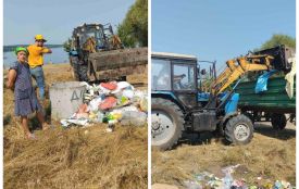 Паланська затока біля Ладижина влітку приймає сотні туристів, а разом із ними — тонни сміття