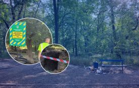 Частину парку імені Ющенка перерили траншеями. Чи давали на це дозволи?