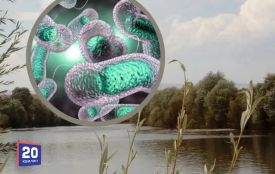 Чи є холера на Вінниччині: медики повідомили про ситуацію