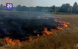У Вінниці ловлять тих, хто палить листя та сміття. Штрафи до 1700 гривень