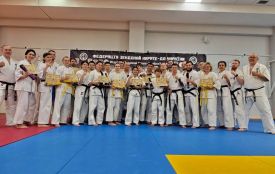Провідні вінницькі каратисти атестувалися на чорні і коричневі пояси: їх затвердять у Японії