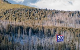 Сьогодні вітаємо Макара та Михайла. Історія, заборони та прикмети 6 вересня