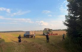 Судитимуть депутата міськради Хмільницького району, який самовільно засадив майже 100 га поля
