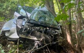 Renault злетів у кювет і врізався в дерево: на Жмеринщині травмувалися двоє людей