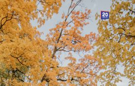Що відзначають 14 вересня: іменини, історичні події та прикмети