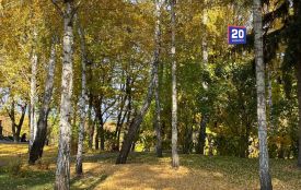 Не поспішайте ховати літній одяг. Вінниччину знову накриє тепло
