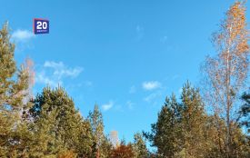 Вітайте Григорія, Микиту та Людмилу. Історія, заборони та прикмети 15 вересня